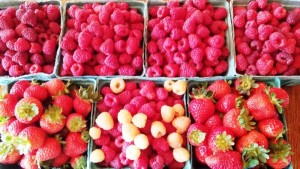 Berries at farmers market